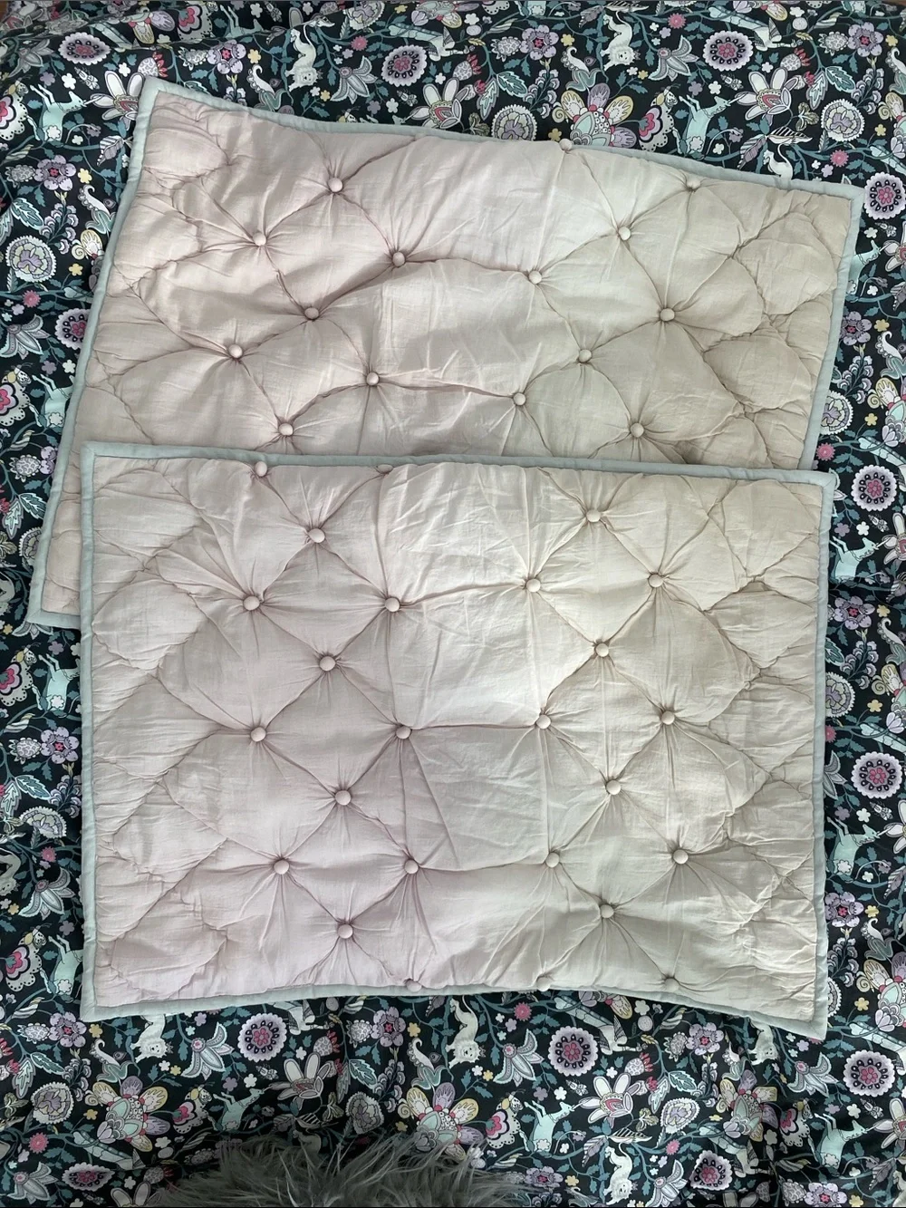 Pottery Barn Reversible Duvet with down comforter plus pillow covers